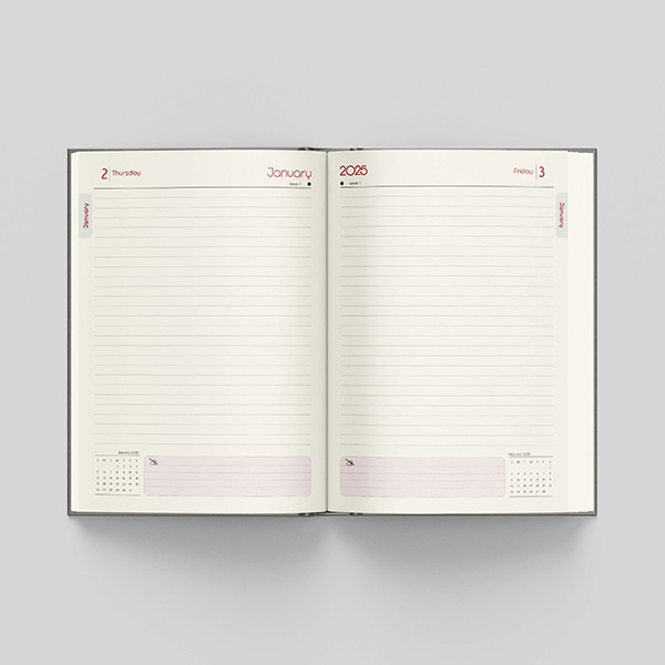 Marvel Diary 2025